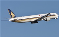 Rubn Gil - Noisy Spotters. Click to see full size photo