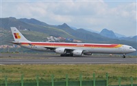 Alejandro Bethencourt (Canary Islands Spotting). Click to see full size photo