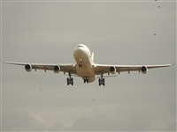 ©luis esteban rodriguez-YOUNG SPOTTER-spotting andalucia. Click to see full size photo ©luis esteban rodriguez-YOUNG SPOTTER-spotting andalucia. Click to see full size photo