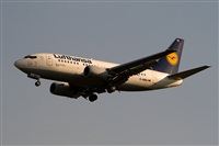 Javier de la Cruz - CANARY ISLANDS SPOTTING. Click to see full size photo