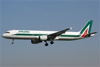 Jos Miguel Bernases - Noisy Spotters. Click to see full size photo