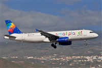 Miguel A. gueda Rguez.  (CANARY ISLANDS SPOTTING). Click to see full size photo