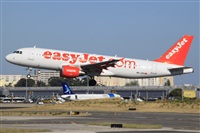 Rui Alves - Madeira Spotters. Click to see full size photo