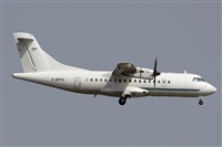 Rodrigo Carvalho - Noisy Spotters. Click to see full size photo