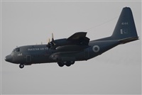 Jos Ramn Valero - Iberian Spotters. Click to see full size photo