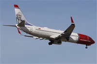 ©Alfonso Solís - Asociación Canary Islands Spotting. Click to see full size photo ©Alfonso Solís - Asociación Canary Islands Spotting. Click to see full size photo