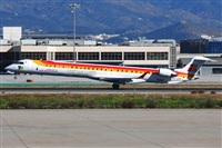©Salvador de la Rubia ( Marbella Spotters ). Click to see full size photo ©Salvador de la Rubia ( Marbella Spotters ). Click to see full size photo