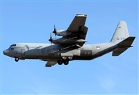 Alejandro H.L - Gran Canaria Spotters. Click to see full size photo