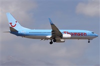 ©Alfonso Solís - Asociación Canary Islands Spotting. Click to see full size photo ©Alfonso Solís - Asociación Canary Islands Spotting. Click to see full size photo