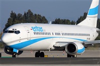 Miguel Alia - Noisy Spotters. Click to see full size photo