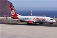 ©Alfonso Solís - Asociación Canary Islands Spotting. Click to see full size photo ©Alfonso Solís - Asociación Canary Islands Spotting. Click to see full size photo