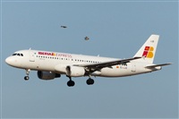©Salvador de la Rubia ( Marbella Spotters ). Click to see full size photo ©Salvador de la Rubia ( Marbella Spotters ). Click to see full size photo