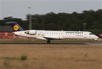 Miguel Alia - Noisy Spotters. Click to see full size photo