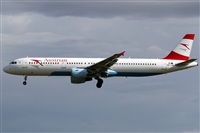 Rubn Gil - Noisy Spotters. Click to see full size photo