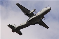 ©Alfonso Solís - Asociación Canary Islands Spotting. Click to see full size photo ©Alfonso Solís - Asociación Canary Islands Spotting. Click to see full size photo