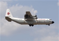 Miguel Alia - Noisy Spotters. Click to see full size photo