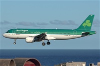 Bartolom Fernndez - Gran Canaria Spotters. Click to see full size photo