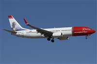 ©Alfonso Solís - Asociación Canary Islands Spotting. Click to see full size photo ©Alfonso Solís - Asociación Canary Islands Spotting. Click to see full size photo