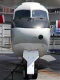 La Roche Spotters. Click to see full size photo
