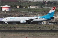 Alfonso Sols - Asociacin Canary Islands Spotting. Click to see full size photo