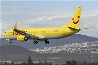 ©Adolfo Bento - Gran Canaria Spotters. Click to see full size photo ©Adolfo Bento - Gran Canaria Spotters. Click to see full size photo