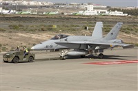 Ayoze Santana Mendez - Canary Islands Spotting. Click to see full size photo