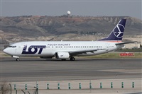 ©Alfonso Solís - Asociación Canary Islands Spotting. Click to see full size photo ©Alfonso Solís - Asociación Canary Islands Spotting. Click to see full size photo