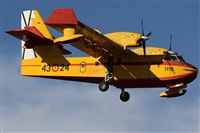 Rubn Gil - Noisy Spotters. Click to see full size photo