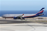 ©Alfonso Solís - Asociación Canary Islands Spotting. Click to see full size photo ©Alfonso Solís - Asociación Canary Islands Spotting. Click to see full size photo