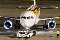 Javier de la Cruz - CANARY ISLANDS SPOTTING. Haz click para ampliar