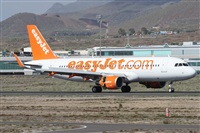 Alfonso Sols - Asociacin Canary Islands Spotting. Haz click para ampliar