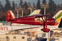 Javier de la Cruz - CANARY ISLANDS SPOTTING. Click to see full size photo