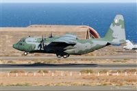 Adolfo Bento - Gran Canaria Spotters. Haz click para ampliar