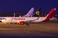 Saimon J Rodriguez   -   Canary Islands Spotting. Click to see full size photo