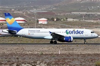 ©Alfonso Solís - Asociación Canary Islands Spotting. Click to see full size photo ©Alfonso Solís - Asociación Canary Islands Spotting. Click to see full size photo