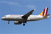 Alfonso Sols - Asociacin Canary Islands Spotting. Click to see full size photo