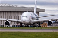 Javier de la Cruz - CANARY ISLANDS SPOTTING. Click to see full size photo