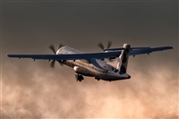 Javier de la Cruz - CANARY ISLANDS SPOTTING. Click to see full size photo