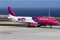 Alfonso Sols - Asociacin Canary Islands Spotting. Click to see full size photo
