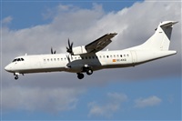©Alfonso Solís - Asociación Canary Islands Spotting. Click to see full size photo ©Alfonso Solís - Asociación Canary Islands Spotting. Click to see full size photo