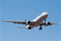 ©J. Victor Vega-Gran Canaria Spotters. Click to see full size photo ©J. Victor Vega-Gran Canaria Spotters. Click to see full size photo