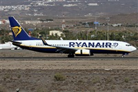 ©Alfonso Solís - Asociación Canary Islands Spotting. Click to see full size photo ©Alfonso Solís - Asociación Canary Islands Spotting. Click to see full size photo