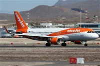 ©Alfonso Solís - Asociación Canary Islands Spotting. Click to see full size photo ©Alfonso Solís - Asociación Canary Islands Spotting. Click to see full size photo