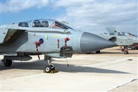 EC-ISM. Click to see full size photo