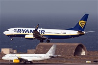 ©Cándida Hidalgo - Gran Canaria Spotters. Click to see full size photo ©Cándida Hidalgo - Gran Canaria Spotters. Click to see full size photo