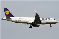 Alfonso Sols - Asociacin Canary Islands Spotting. Click to see full size photo