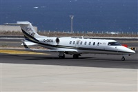 Alfonso Sols - Asociacin Canary Islands Spotting. Click to see full size photo