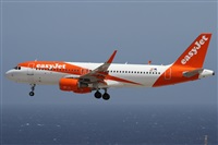 Alfonso Sols - Asociacin Canary Islands Spotting. Click to see full size photo