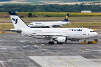 Javier de la Cruz - CANARY ISLANDS SPOTTING. Click to see full size photo