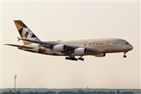 Javier de la Cruz - CANARY ISLANDS SPOTTING. Click to see full size photo